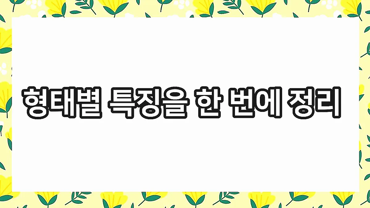 글의 형태별 특징을 한 번에 정리 이미지